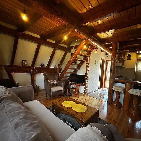 Vila Sarigora Žabljak Kültér fotó