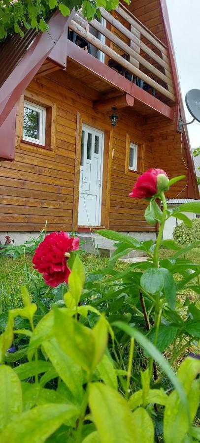 Vila Sarigora Žabljak Kültér fotó